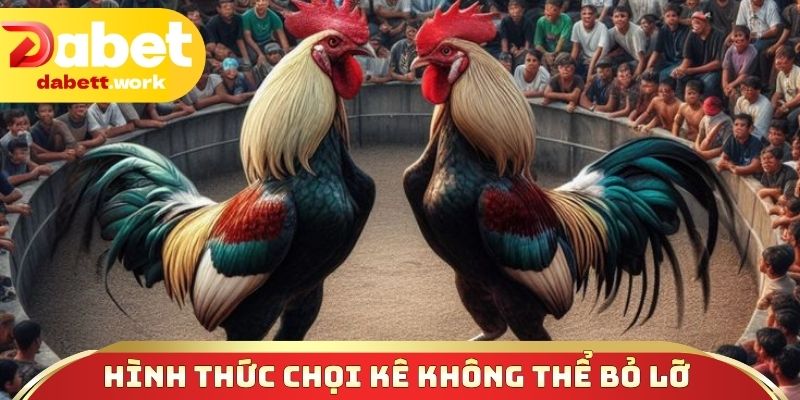 Hình thức chọi kê không bỏ lỡ tại sân cược