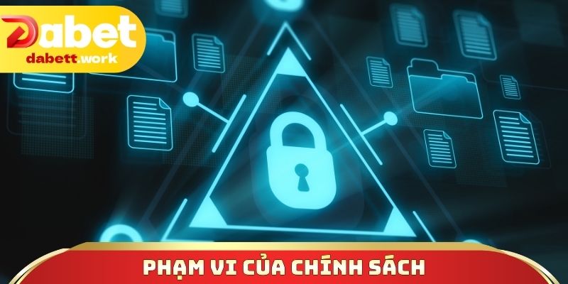 Phạm vi của chính sách