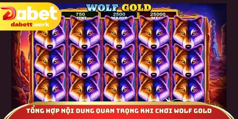 Tổng hợp nội dung quan trọng khi chơi Wolf Gold